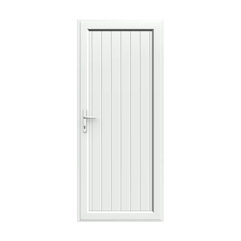 Full Panel Single Door 5